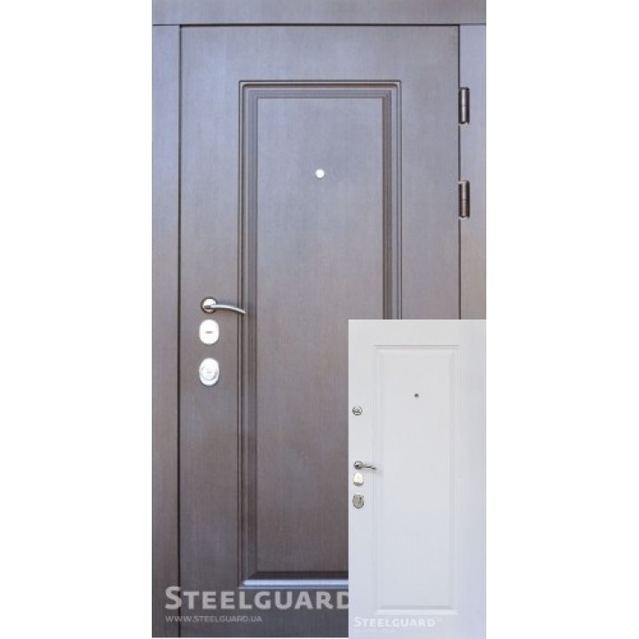 Вхідні двері Steelguard DP-1