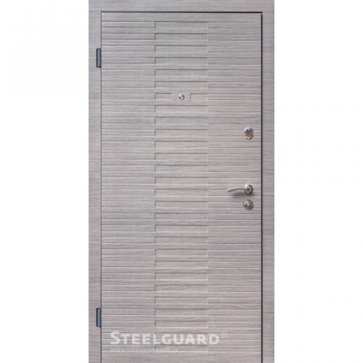 Вхідні двері Steelguard Vesta